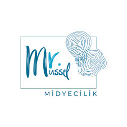 Mr.Mussel Midye