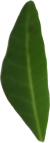 İletişim