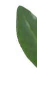 İletişim
